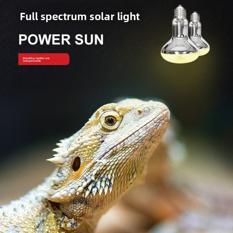 Reptizoo Lampada solare per re - Calcium Powder Reptile recensione e prezzo