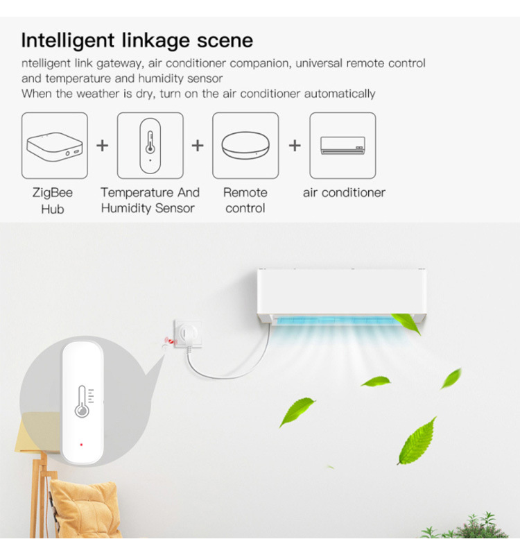 eWeLink Smart ZigBee Sensore d - Digital Hygrometer Probe recensione e prezzo