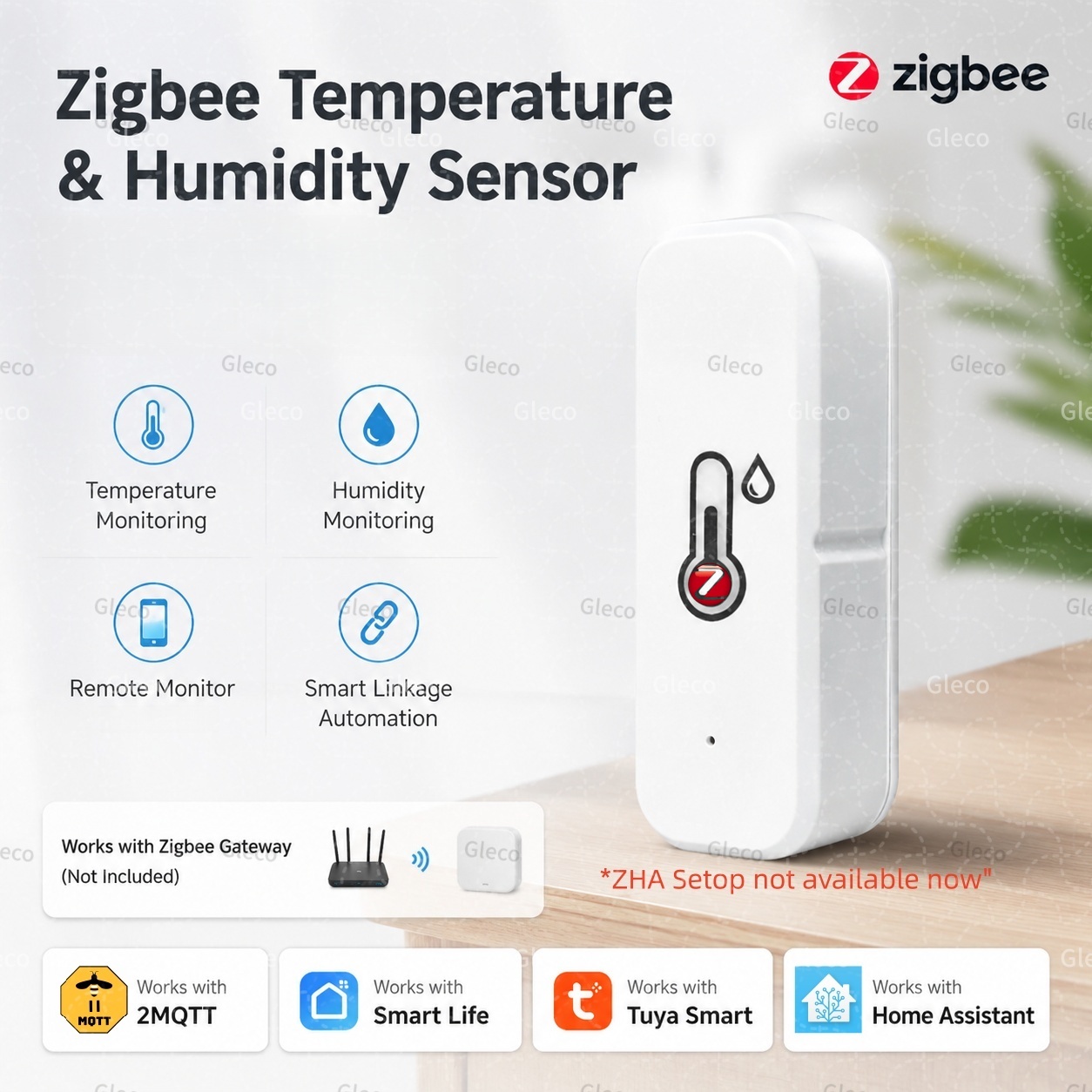 Sensore di temperatura e umidi - Digital Hygrometer Probe recensione e prezzo
