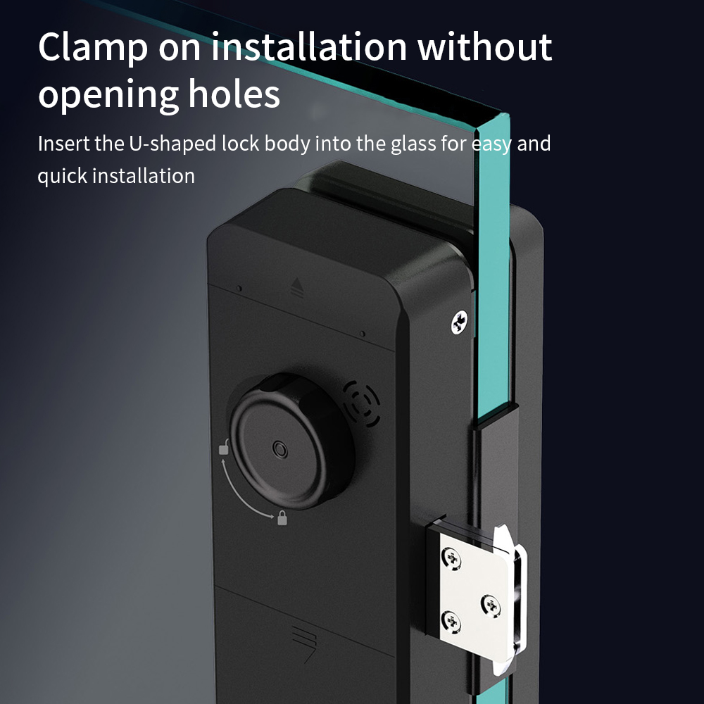 TTLOCK Smart Glass lock Ricono - Glass Door Hinge recensione e prezzo